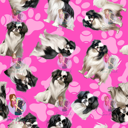 Japanese Chin 1 | Pre-Order |