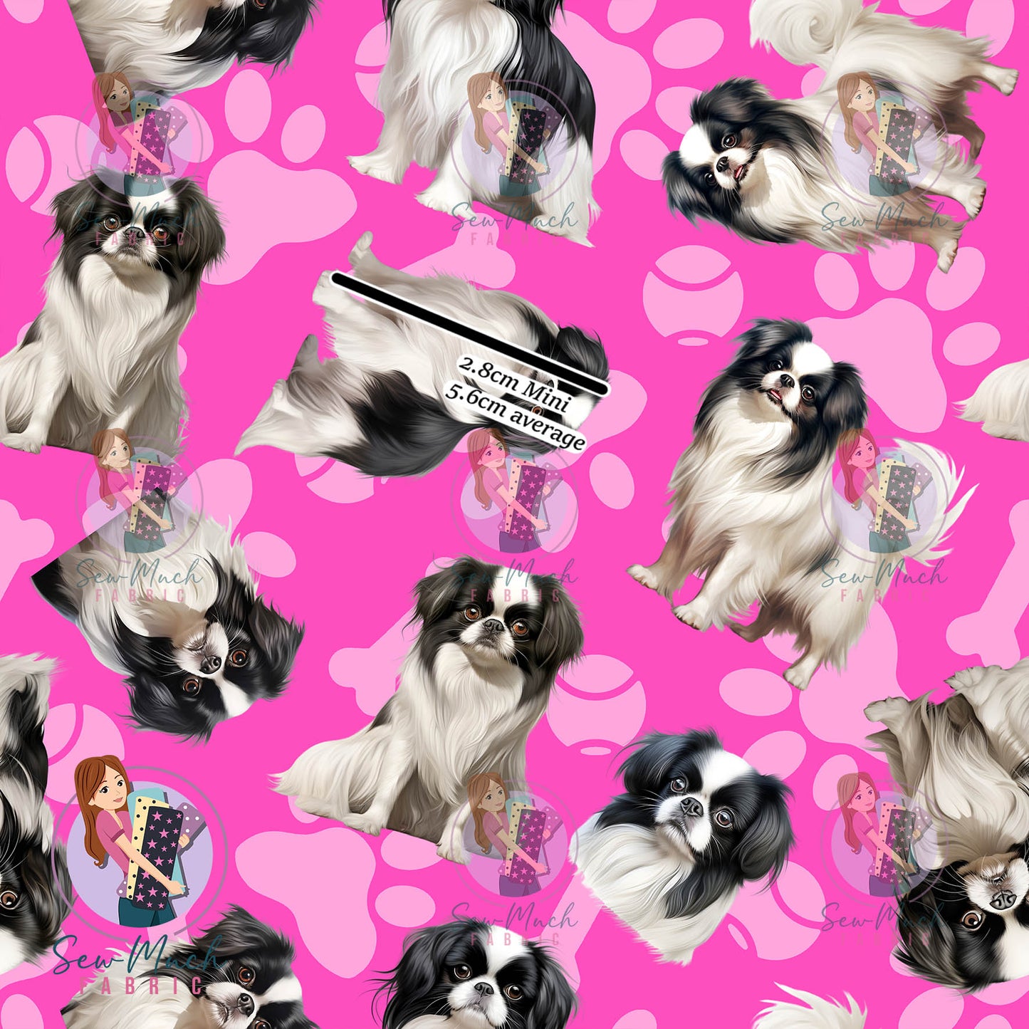 Japanese Chin 1 | Pre-Order |
