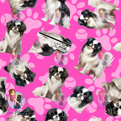 Japanese Chin 1 | Pre-Order |