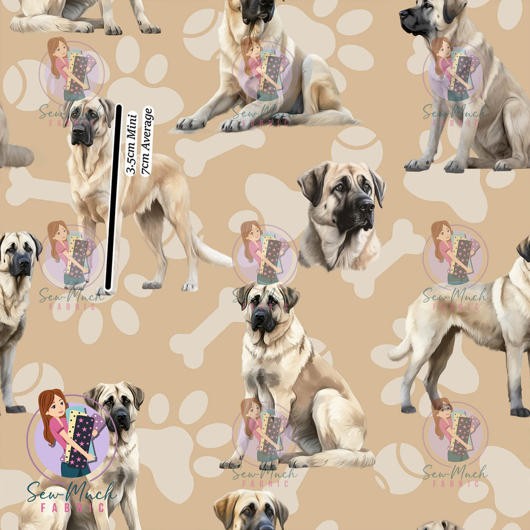 Kangal Beige | Woven | Retail | Average Scale