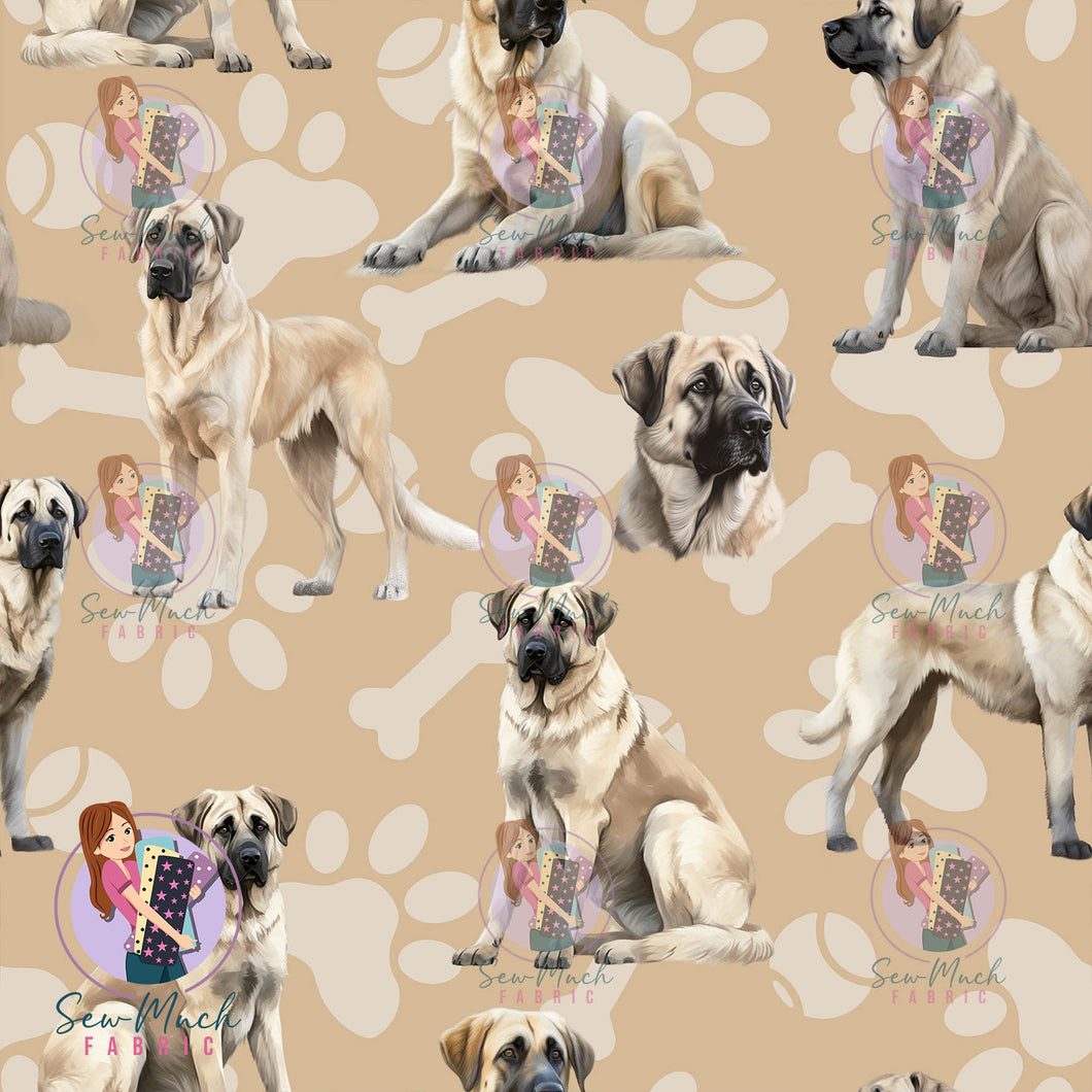 Kangal | Pre-Order |