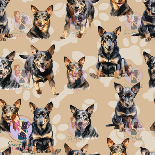 Kelpie | Pre-Order |