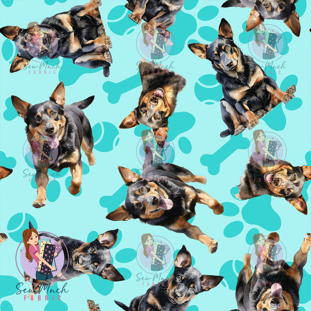 Kelpie 1 | Pre-Order |