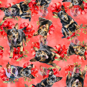Kelpie 2 | Pre-Order |