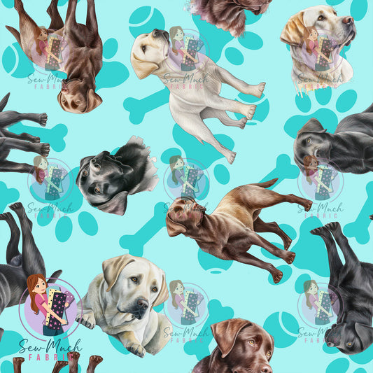 Labrador 1 | Pre-Order |