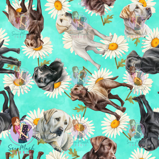Labrador 2 | Pre-Order |