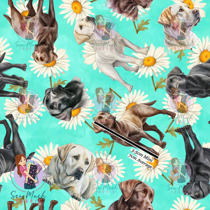 Labrador 2 | Pre-Order |