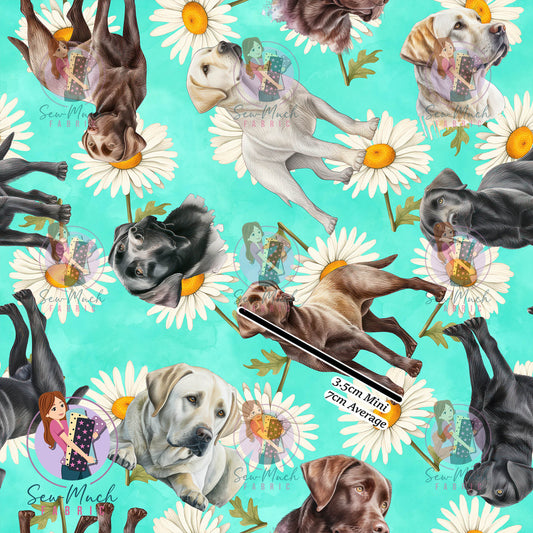 Labrador Floral | Knit | Retail | Average Scale