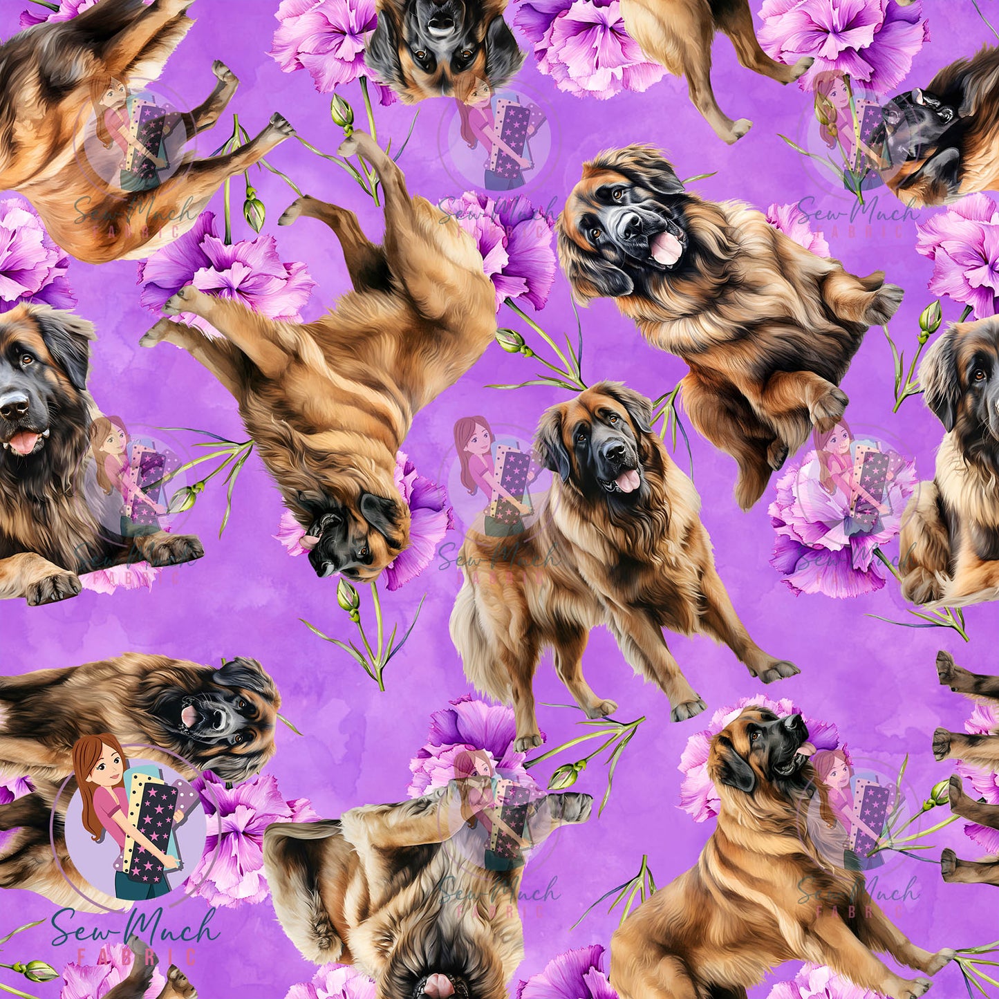 Leonberger 2 | Pre-Order |