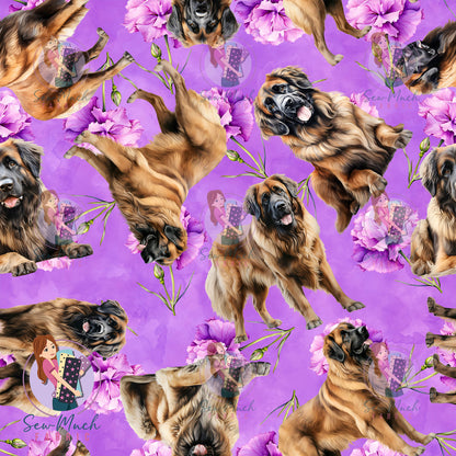 Leonberger 2 | Pre-Order |