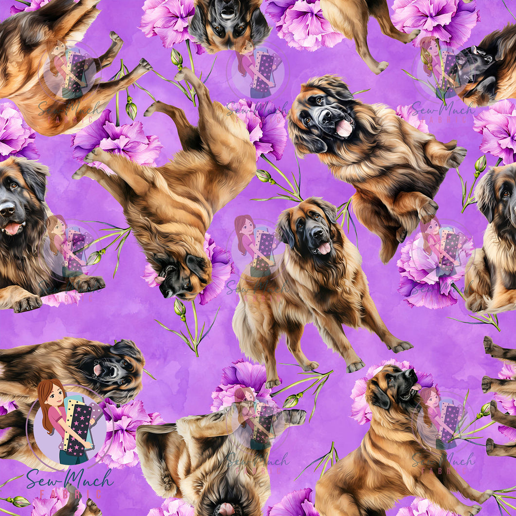 Leonberger 2 | Pre-Order |