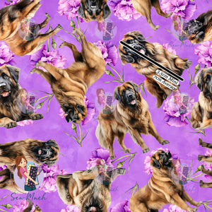 Leonberger 2 | Pre-Order |