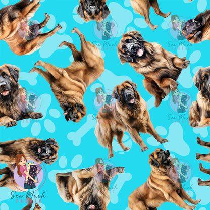 Leonberger 1 | Pre-Order |
