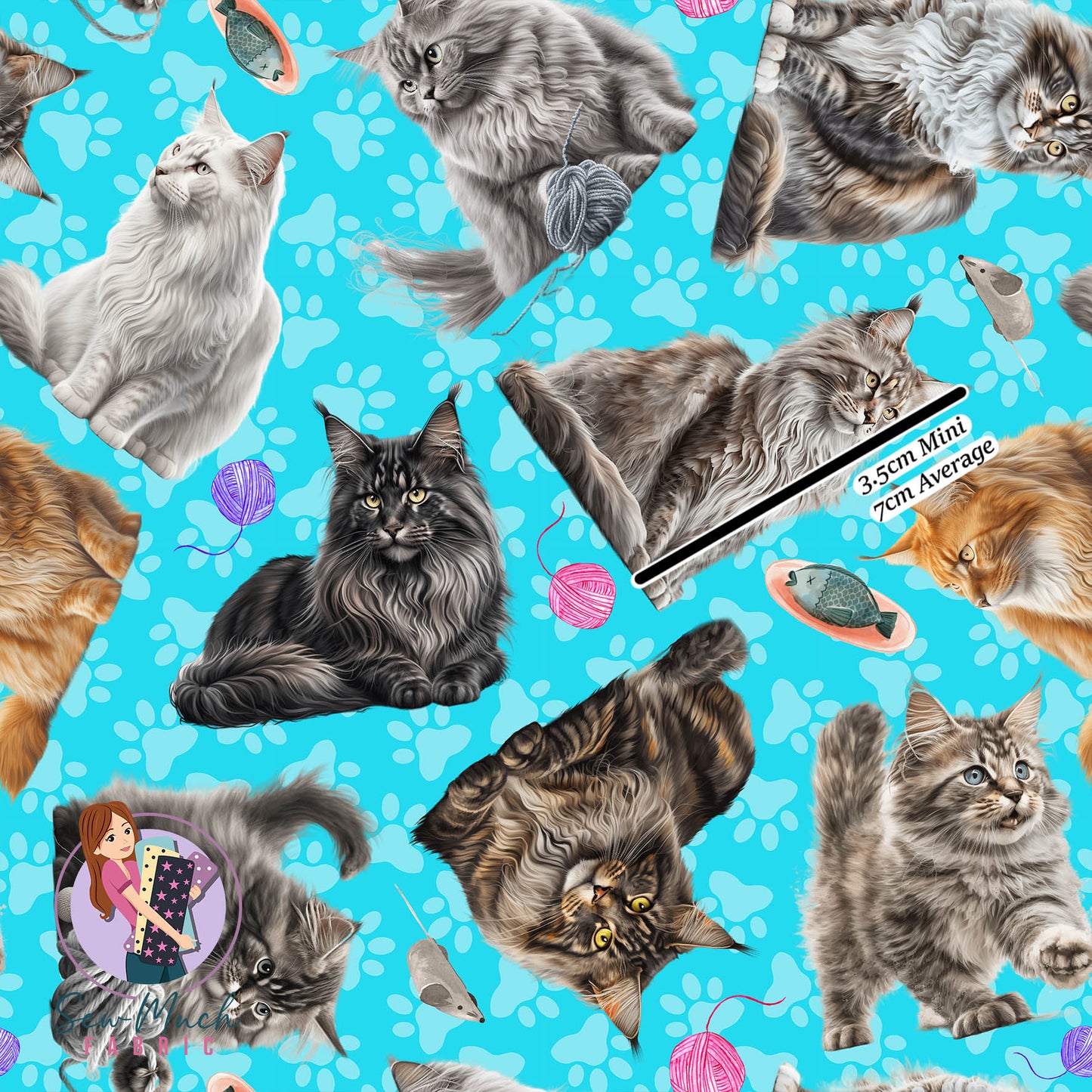 Maine Coon Cat | Pre-Order |