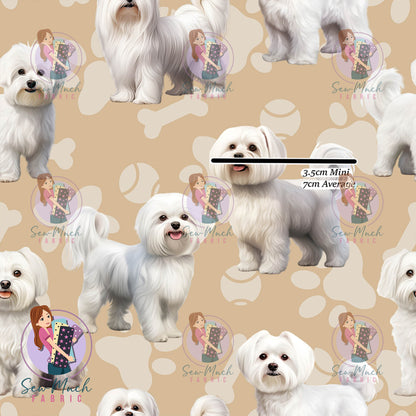 Maltese | Pre-Order |