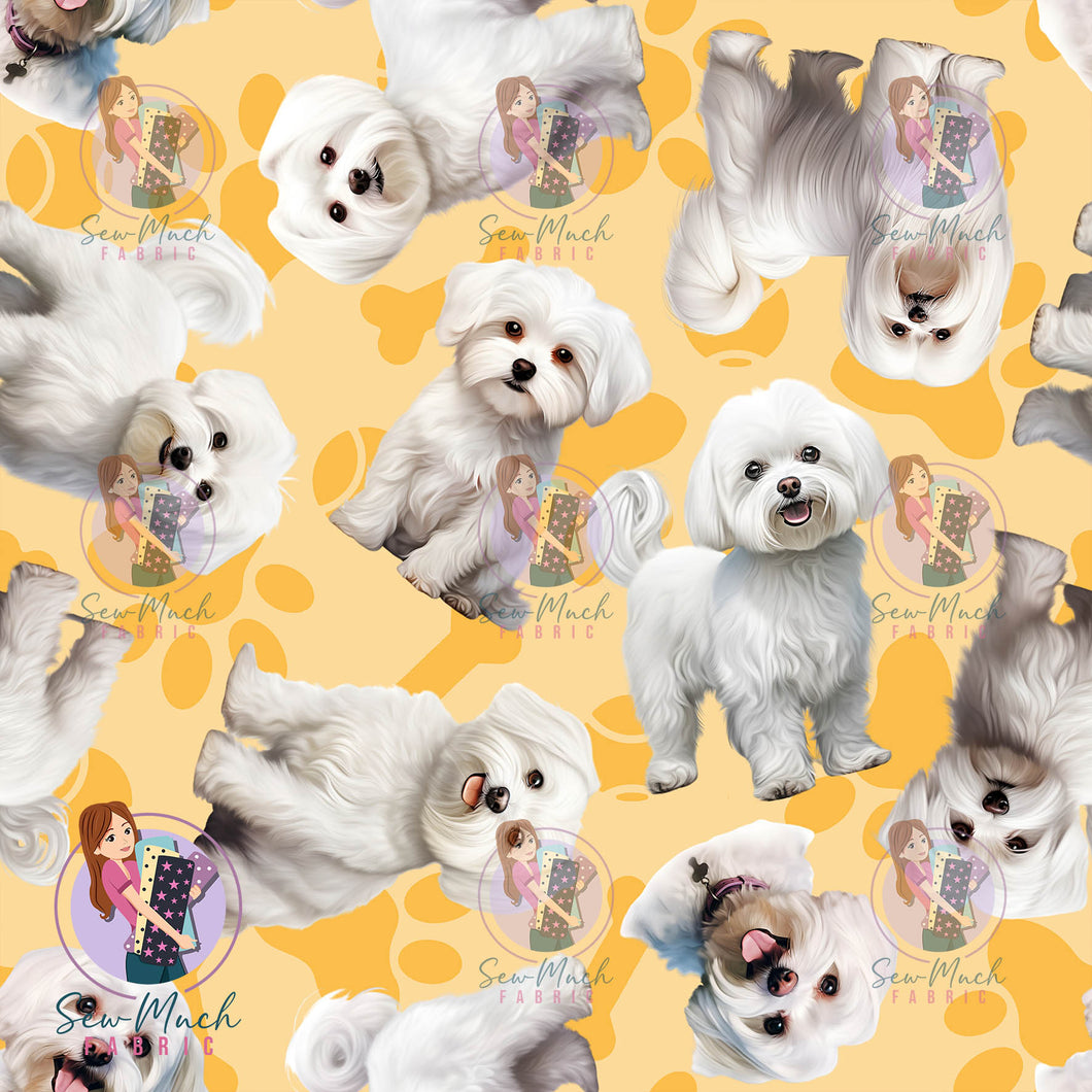 Maltese Yellow | Woven | Retail | Average Scale