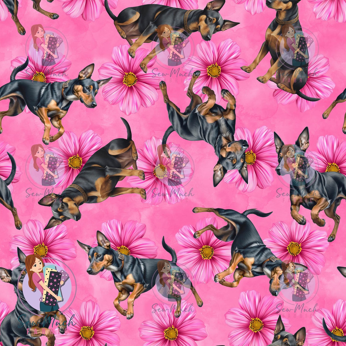 Miniature Pinscher 2 | Pre-Order |