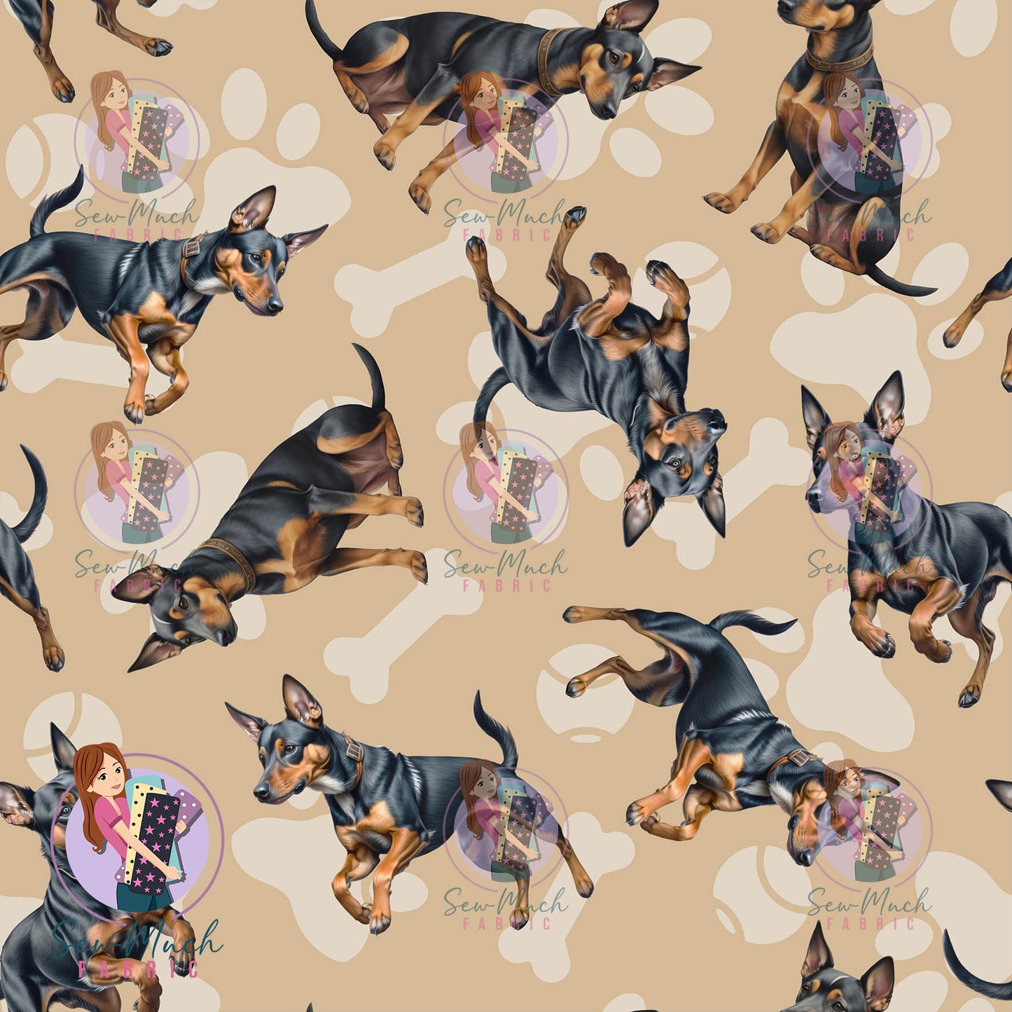 Miniature Pinscher | Pre-Order |