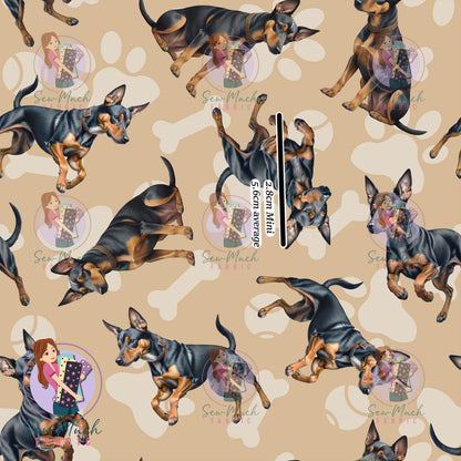 Miniature Pinscher | Pre-Order |