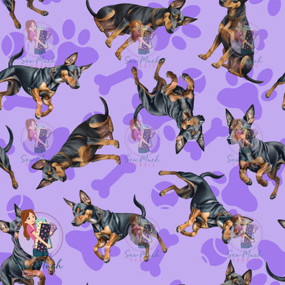 Miniature Pinscher 1 | Pre-Order |