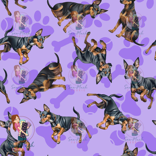 Miniature Pinscher 1 | Pre-Order |