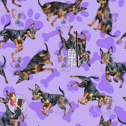 Miniature Pinscher 1 | Pre-Order |