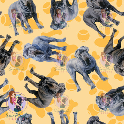 Neapolitan Mastiff 1 | Pre-Order |