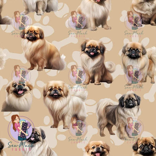 Pekingese | Pre-Order |