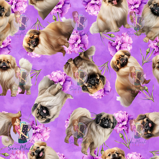 Pekingese 2 | Pre-Order |