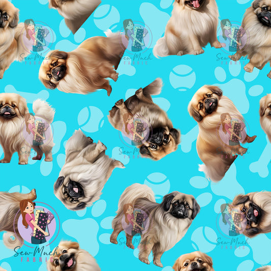 Pekingese 1 | Pre-Order |