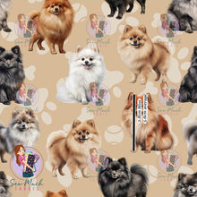 Load image into Gallery viewer, Pomeranian Beige | Canvas | Retail | Average Scale
