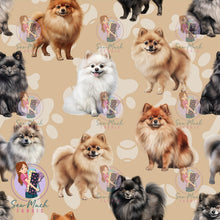 Load image into Gallery viewer, Pomeranian Beige | Canvas | Retail | Average Scale
