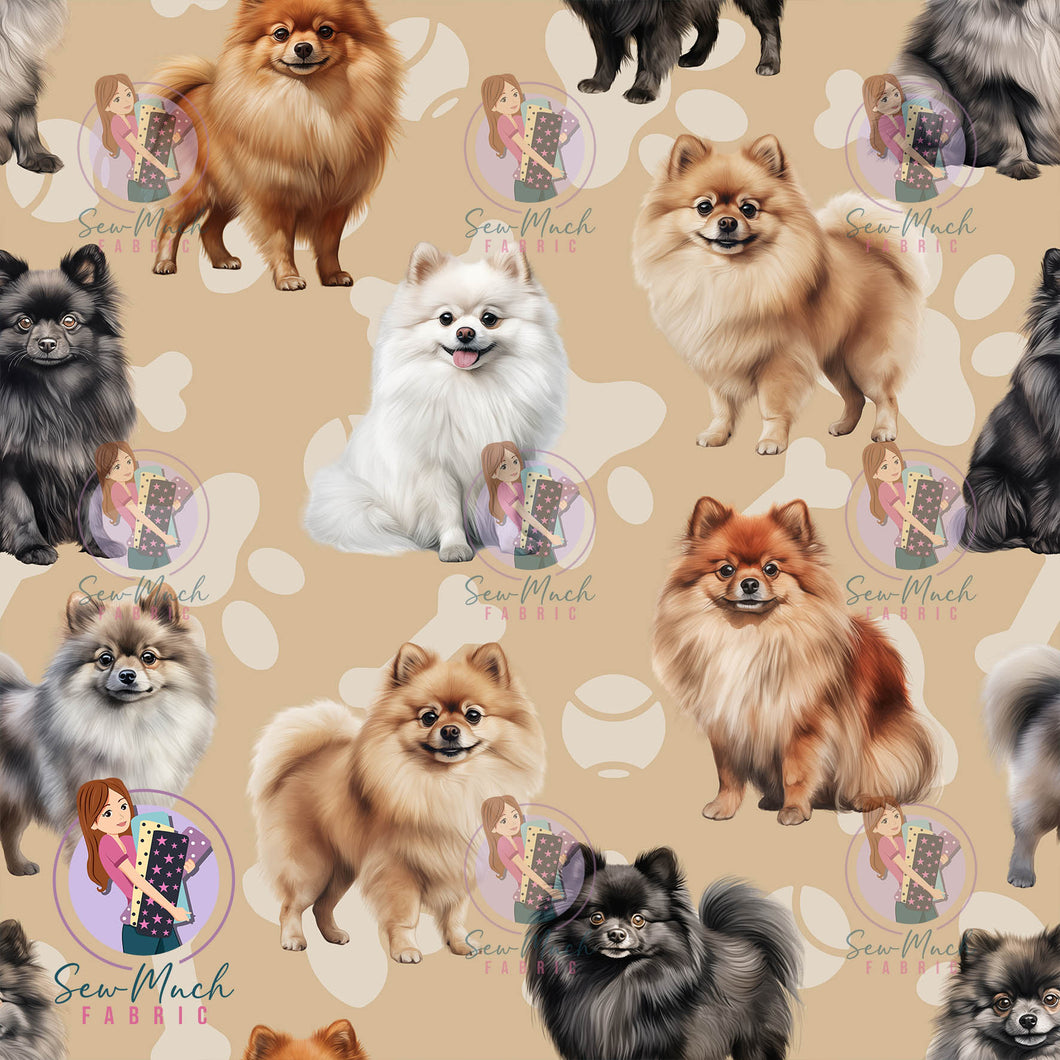 Pomeranian Beige | Canvas | Retail | Average Scale