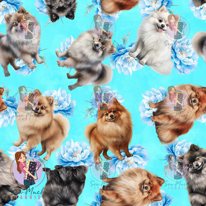 Pomeranian 2 | Pre-Order |
