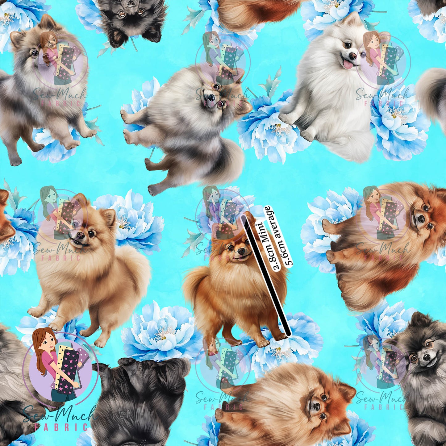 Pomeranian 2 | Pre-Order |