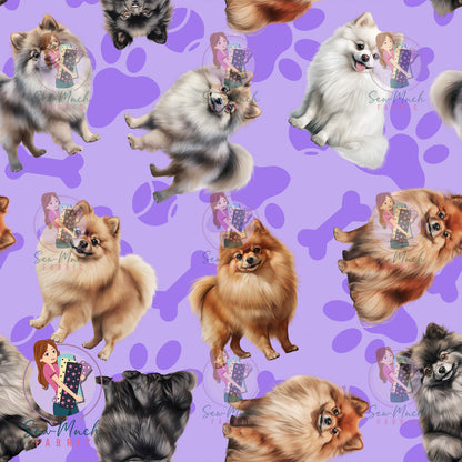 Pomeranian 1 | Pre-Order |