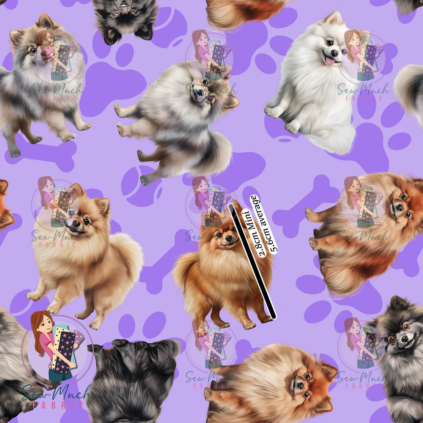 Pomeranian 1 | Pre-Order |