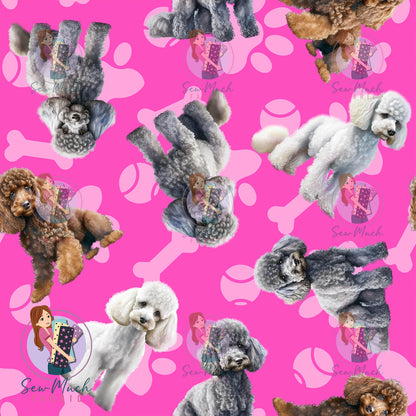 Poodle 1 | Pre-Order |