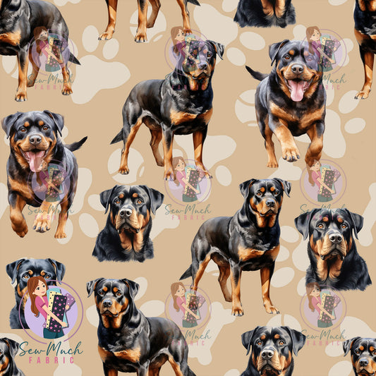 Rottweiler | Pre-Order |