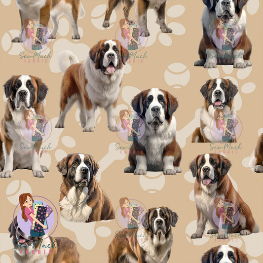 Saint Bernard | Pre-Order |