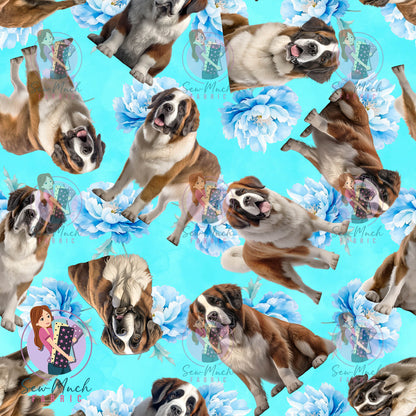 Saint Bernard 2 | Pre-Order |