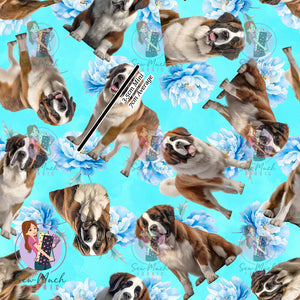 Saint Bernard 2 | Pre-Order |