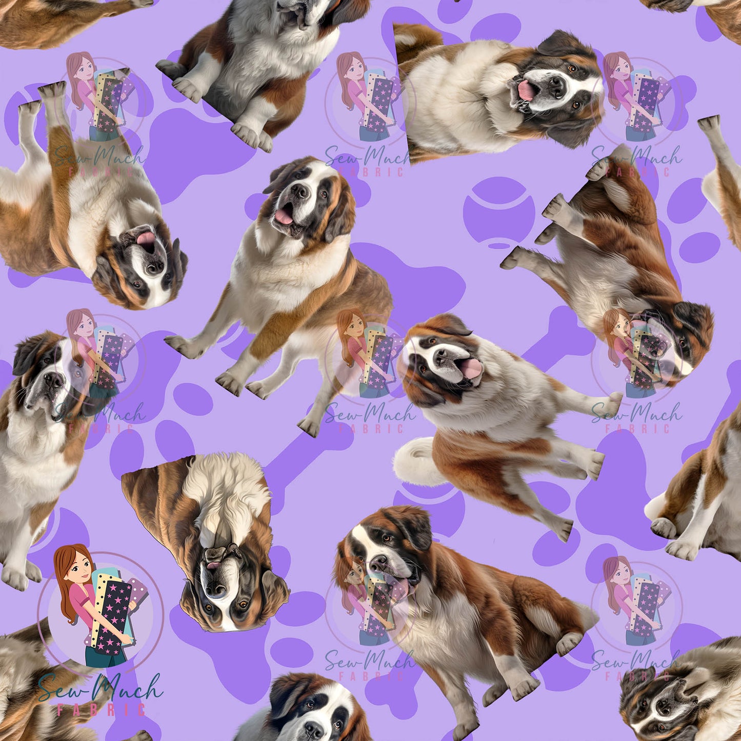 Saint Bernard 1 | Pre-Order |