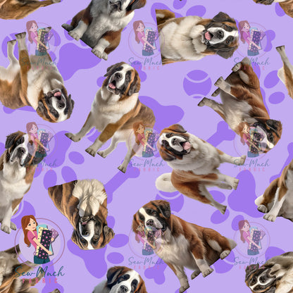 Saint Bernard 1 | Pre-Order |
