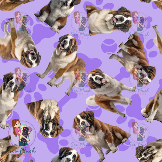 Saint Bernard 1 | Pre-Order |