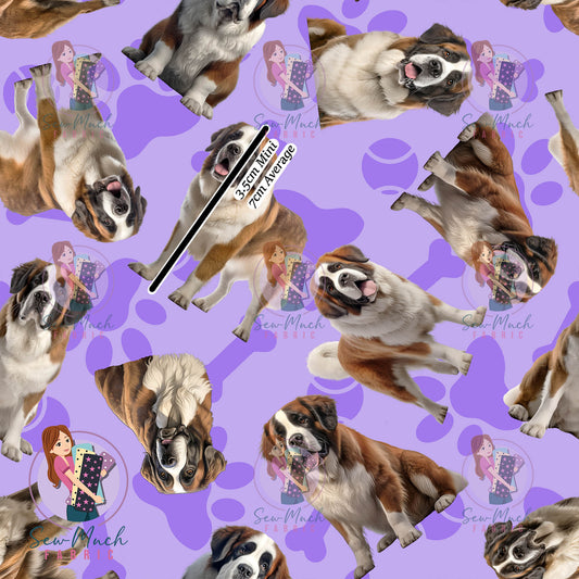 Saint Bernard Purple | Canvas | Retail | Average Scale