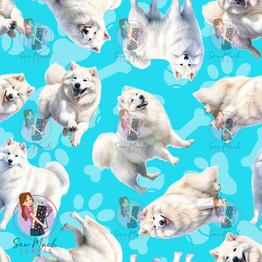 Samoyed 1 | Pre-Order |