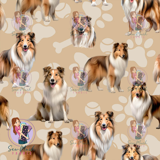 Shetland Sheepdog | Pre-Order |
