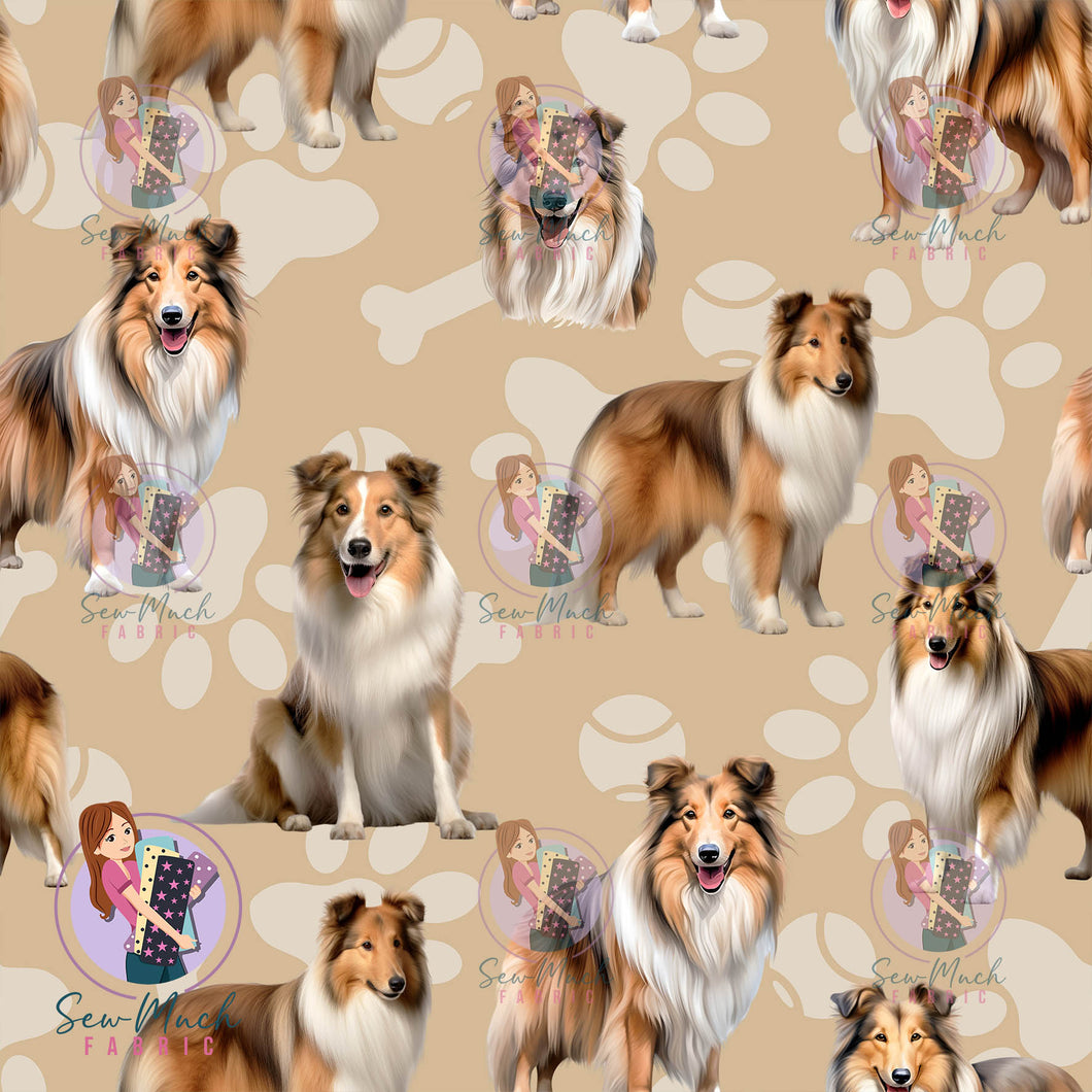Shetland Sheepdog | Pre-Order |