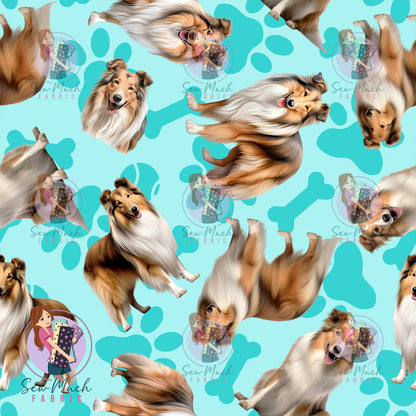 Shetland Sheepdog 1 | Pre-Order |